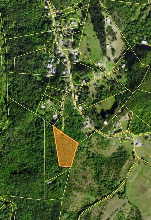 An aerial map shows a highlighted parcel of land surrounded by trees and nearby roads — Carr 646 km 7.2 BO RÍO ARRIBA, VEGA BAJA, PR