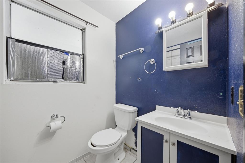 A bathroom features a white toilet, a vanity with a white sink, and blue walls — 307 W ALFRED STREET, TAMPA, FL