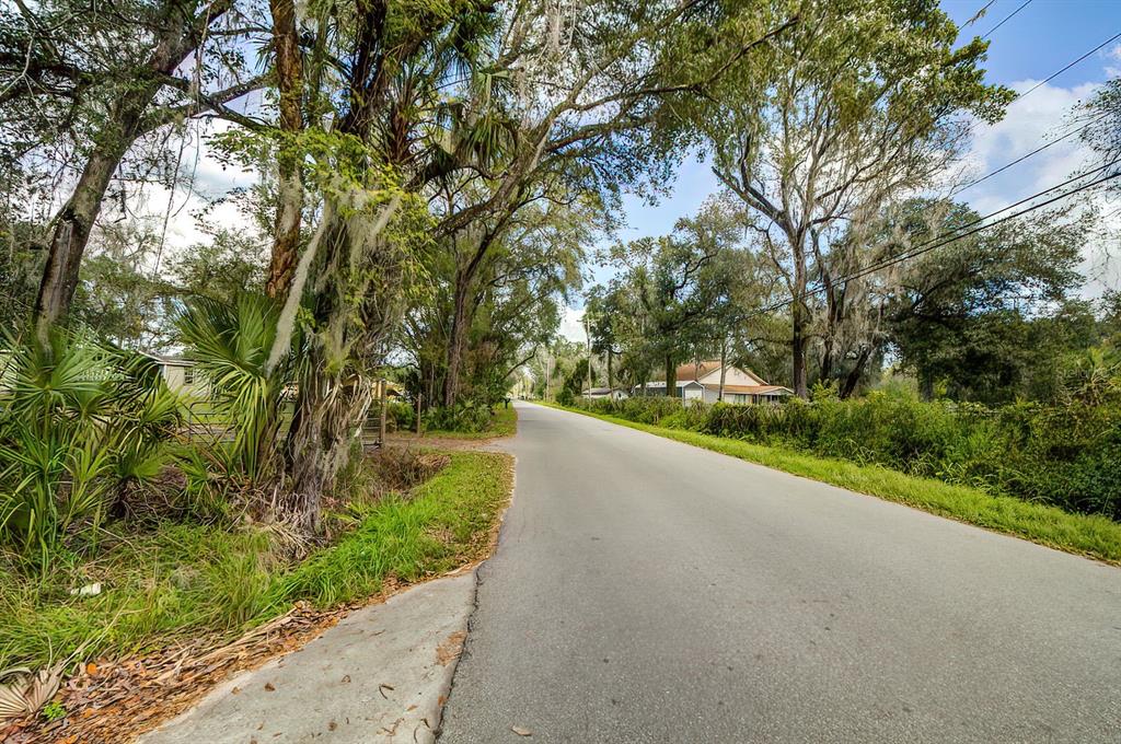 A paved road winds through a rural area lined with large trees and lush vegetation — 14902 DEAD RIVER ROAD, THONOTOSASSA, FL