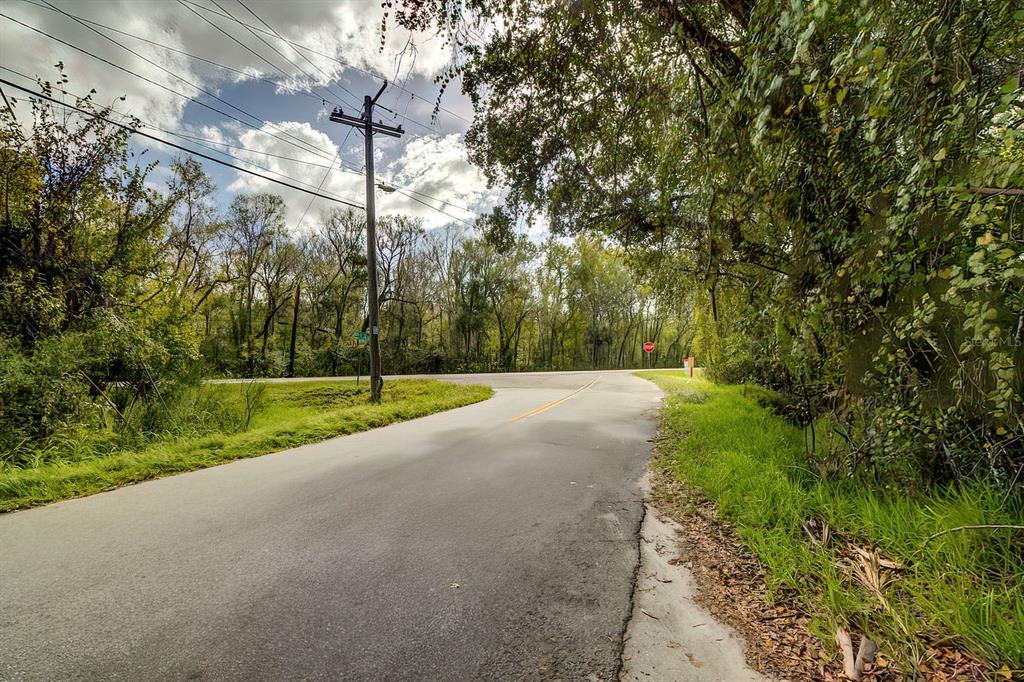 A paved road leads to a T-intersection surrounded by dense trees and a utility pole — 14902 DEAD RIVER ROAD, THONOTOSASSA, FL