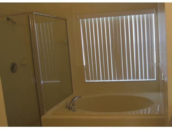 A bathroom features a soaking tub next to a glass-enclosed shower and a window — 558 BRAYTON LANE, DAVENPORT, FL