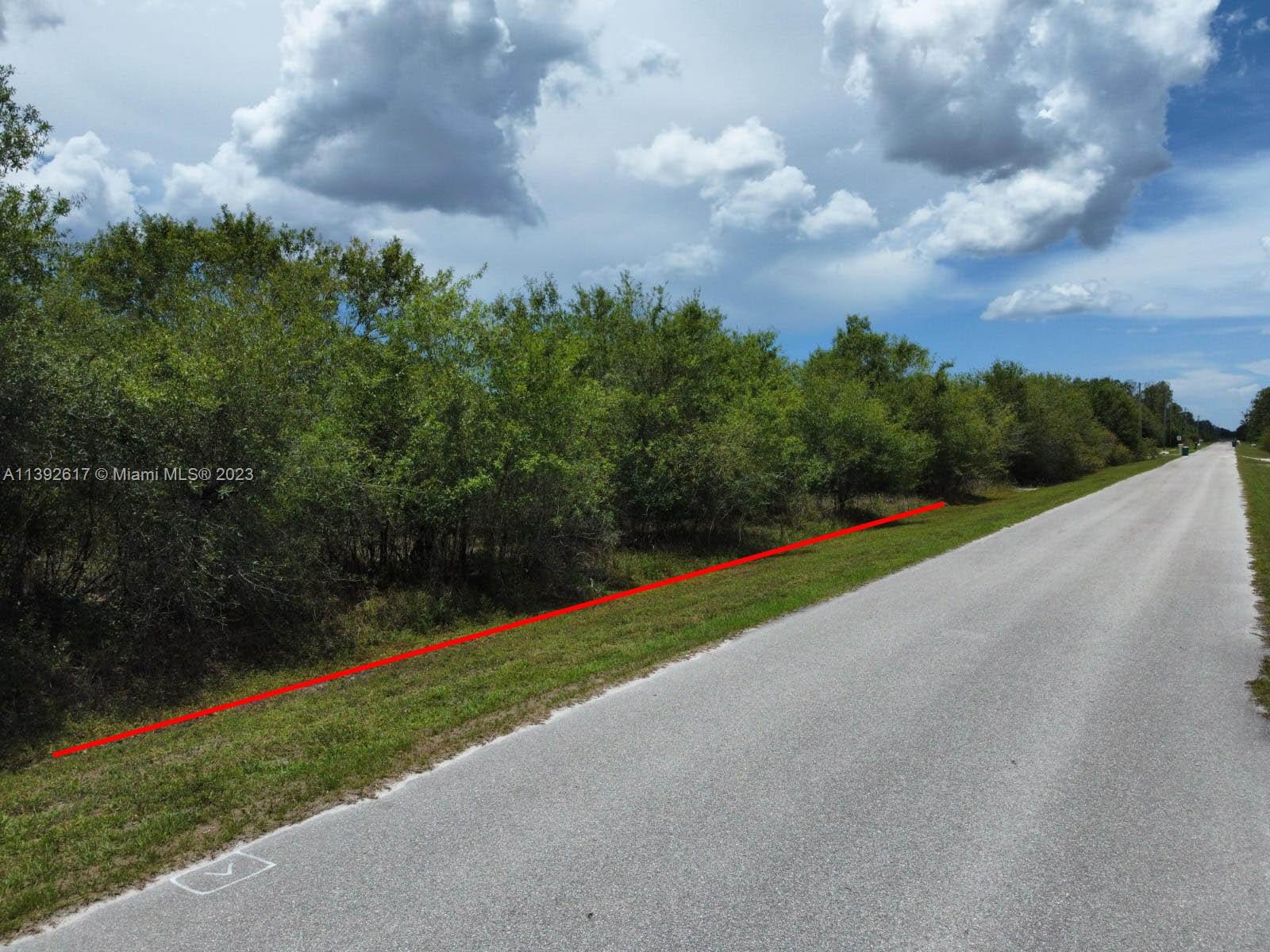 A paved road runs alongside a plot of land bordered by dense green trees — 0 0, Naples FL 34120, NAPLES, FL