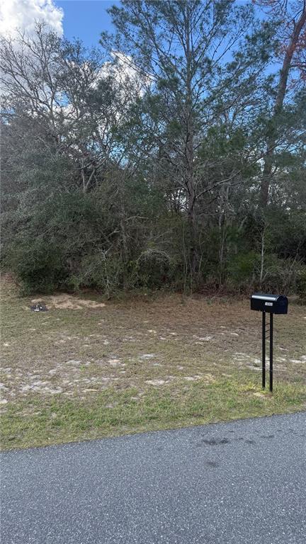 TBD SW 40TH CIRCLE, OCALA, FL — photo 2 of 3