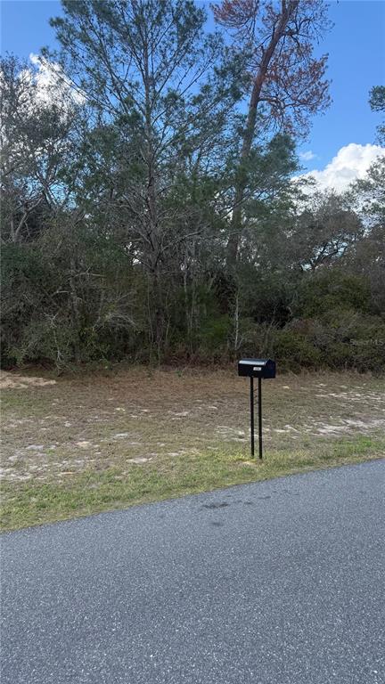 TBD SW 40TH CIRCLE, OCALA, FL — photo 3 of 3
