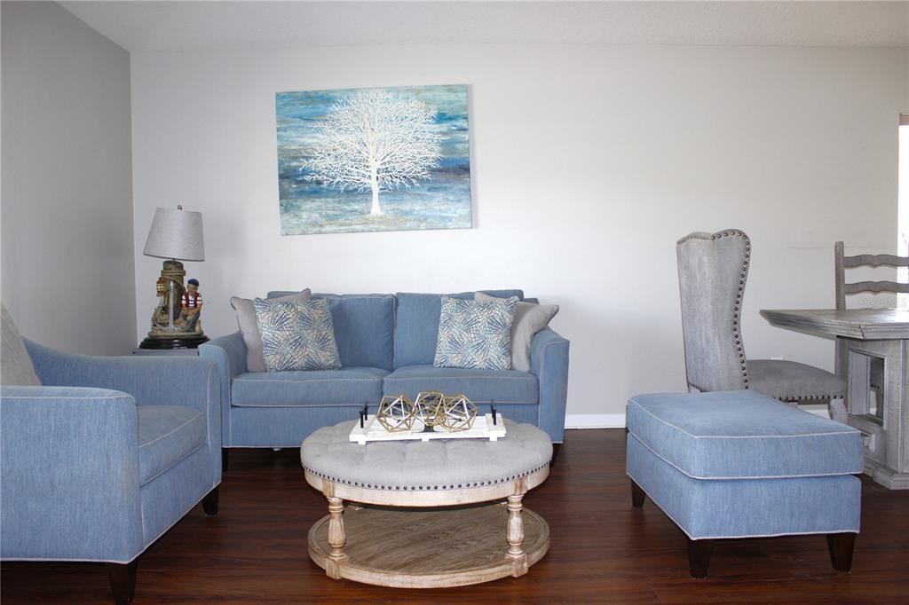 A living room features a blue sofa, matching armchair, ottoman, and a round coffee table — 10228 HUNTERS HAVEN BOULEVARD, RIVERVIEW, FL