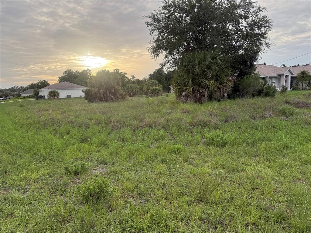 A grassy vacant lot features scattered palm trees and shrubs under a cloudy sunset sky — ADELAIDE AVENUE, NORTH PORT, FL