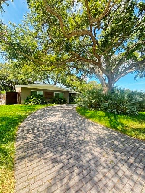 A paved driveway leads to a single-story house shaded by a large, mature oak tree — 9 SOUTHWIND DRIVE, LARGO, FL