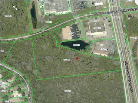 An aerial map shows a wooded parcel of land outlined in green near a road — W ORANGE COUNTRY CLUB DRIVE, WINTER GARDEN, FL