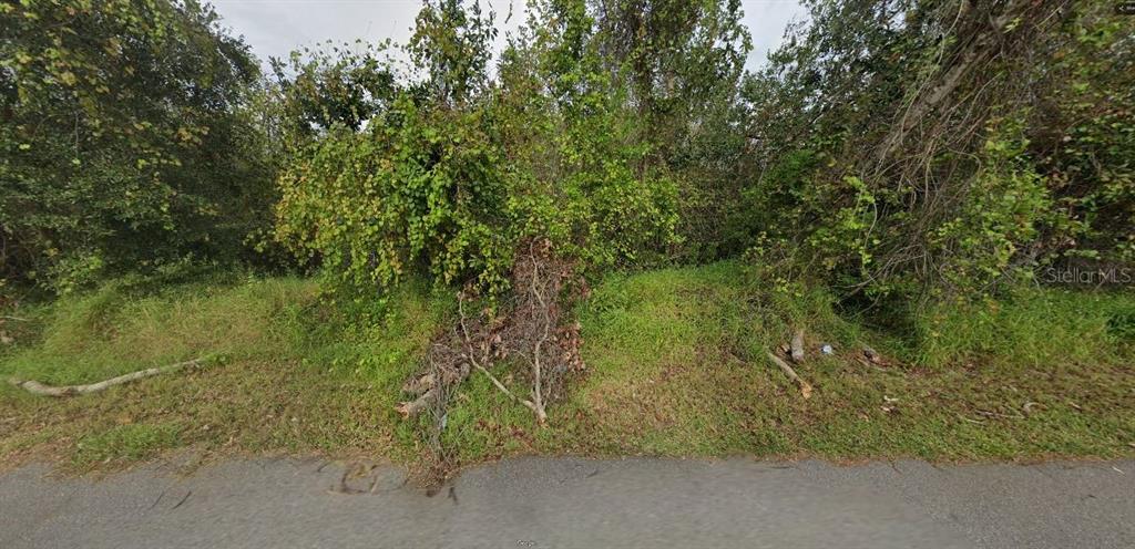 A view of a densely wooded, overgrown vacant lot bordering a paved road — W ORANGE COUNTRY CLUB DRIVE, WINTER GARDEN, FL