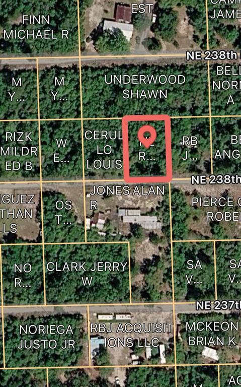 This is a satellite map view showing property parcel boundaries and owner names — 15589 NE 238TH STREET, FORT MC COY, FL