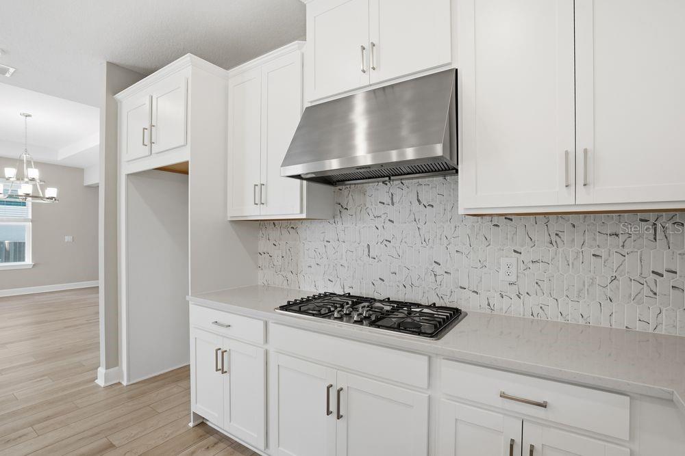A modern kitchen features white cabinets, a stainless steel range hood, and a marble-patterned backsplash — 7727 CASPIAN STREET, PALMETTO, FL