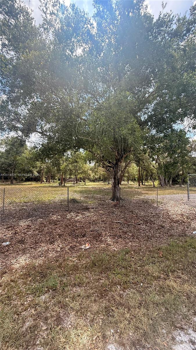 A chain-link fence separates a grassy foreground from a wooded lot with large trees — 465 S Estribo st, Clewiston FL 33440-2613, CLEWISTON, FL