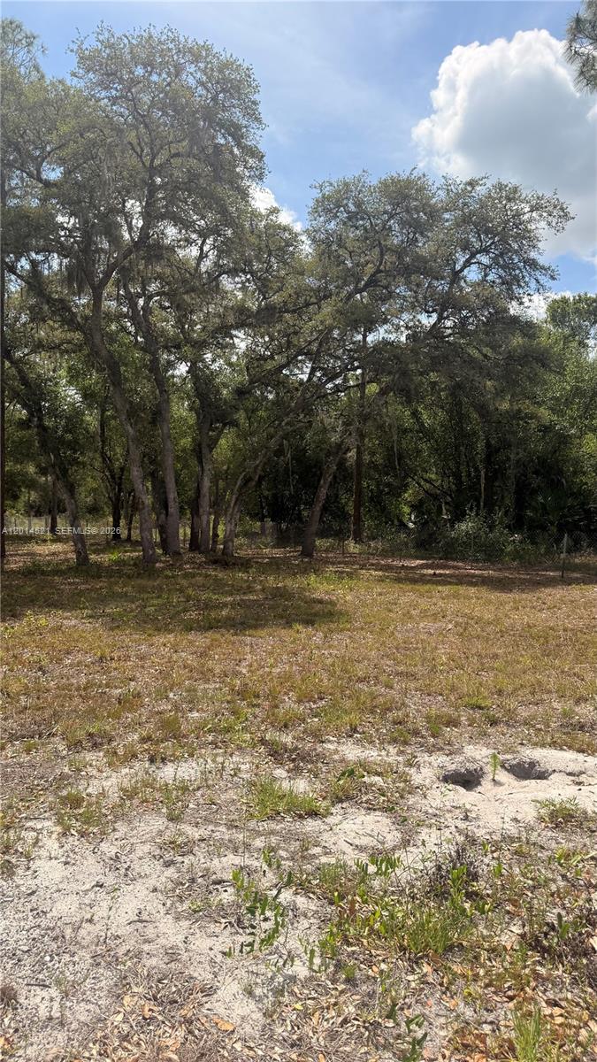 A vacant, sandy lot features a cluster of mature trees under a blue sky — 465 S Estribo st, Clewiston FL 33440-2613, CLEWISTON, FL