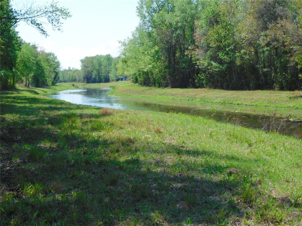 A narrow, winding canal flows through a grassy meadow bordered by a dense forest — 10505 E DEEP CREEK BOULEVARD, HASTINGS, FL