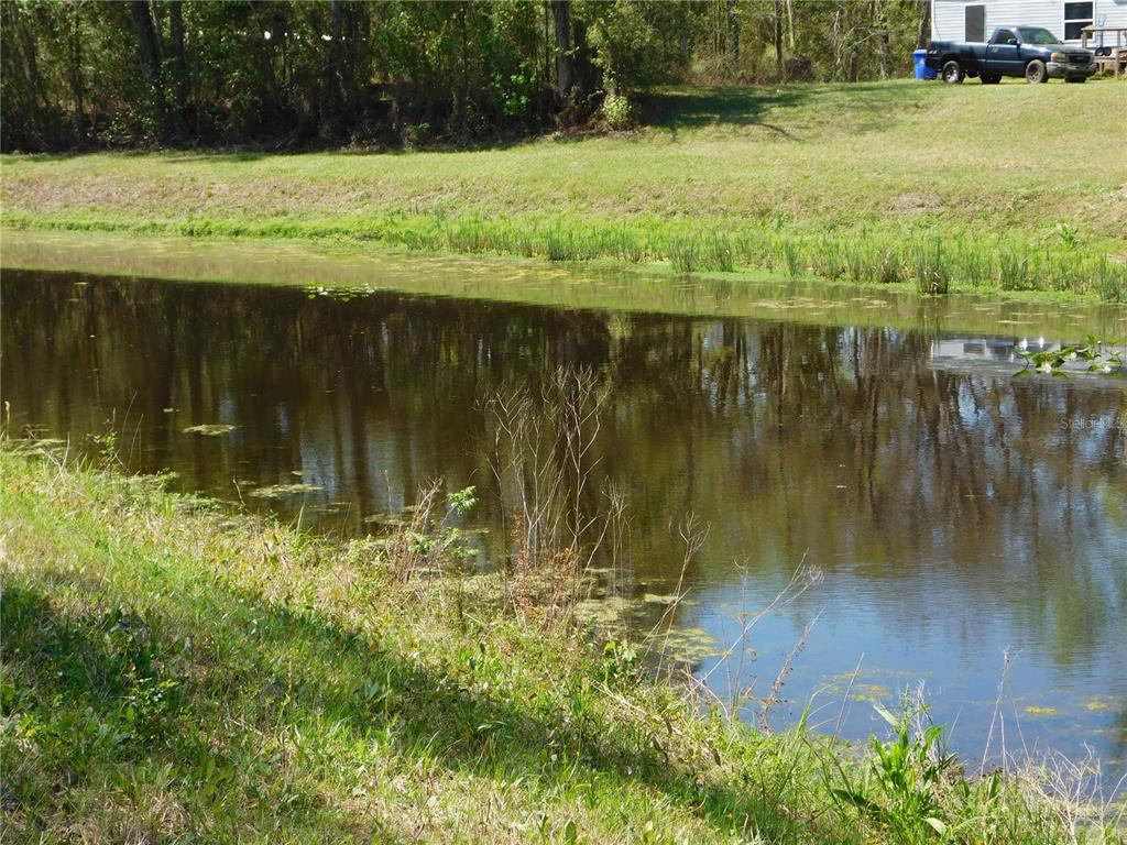A view of a narrow pond bordered by grassy banks with a truck parked nearby — 10505 E DEEP CREEK BOULEVARD, HASTINGS, FL