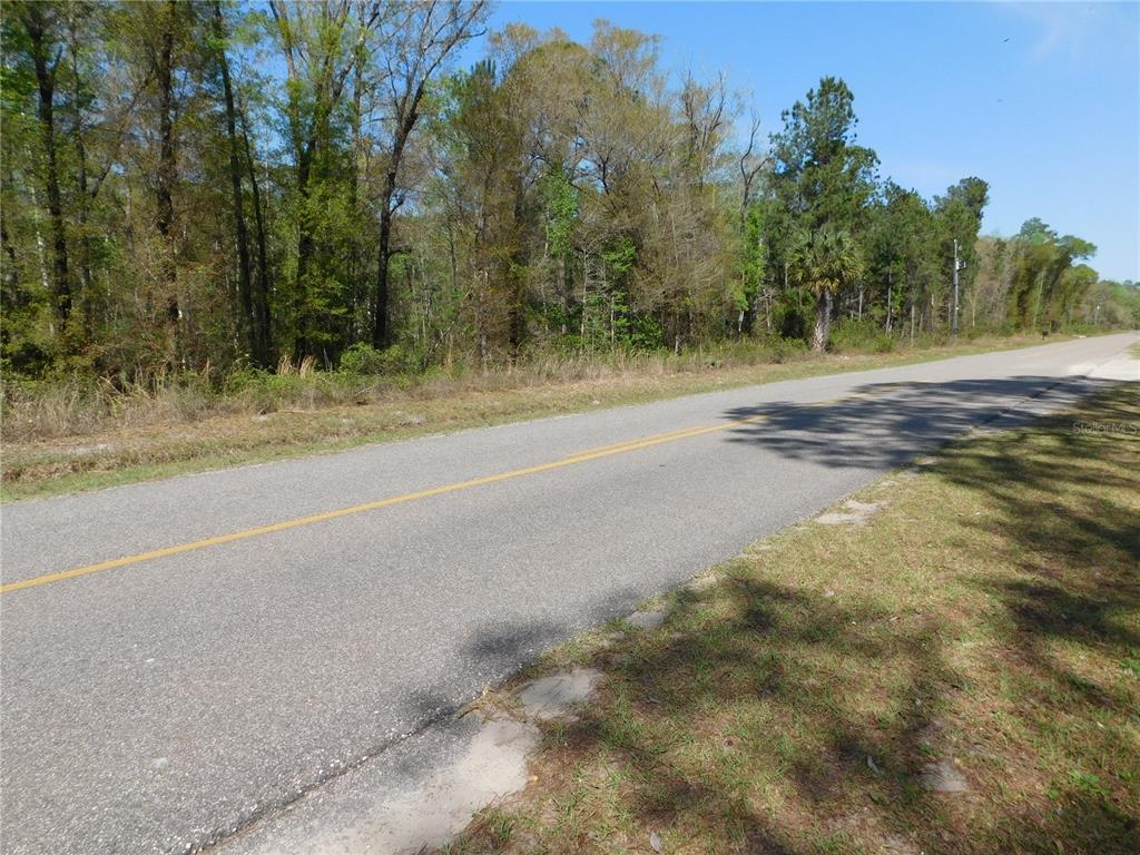 A paved road runs alongside a wooded area with tall trees under a clear sky — 10505 E DEEP CREEK BOULEVARD, HASTINGS, FL