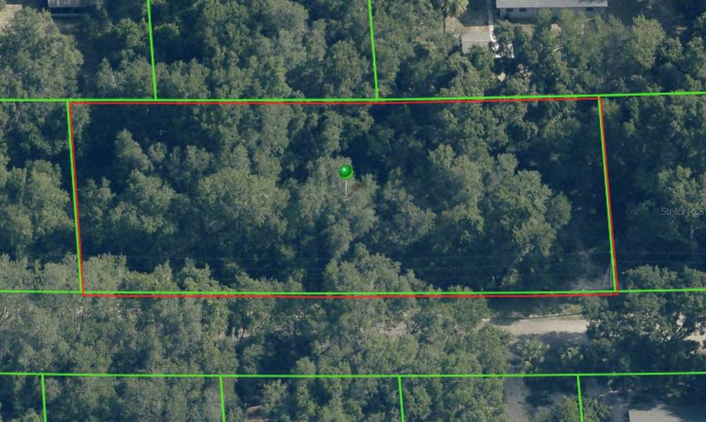 4053 E GRANT STREET, INVERNESS, FL — photo 2 of 3