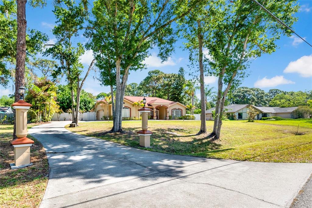 A concrete driveway leads to a single-story house with a red roof and trees — 6341 GOVERNORS DRIVE, NEW PORT RICHEY, FL