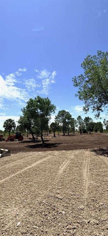 A cleared, dirt-covered lot features scattered trees and a tractor under a clear blue sky — 17926 NW 250TH STREET, OKEECHOBEE, FL