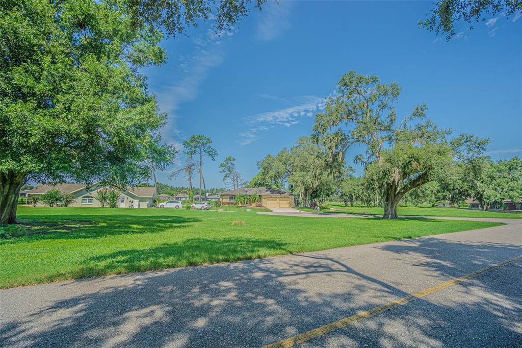 A view of a residential street with large trees, green lawns, and two houses — BRENTWOOD DRIVE, ZEPHYRHILLS, FL