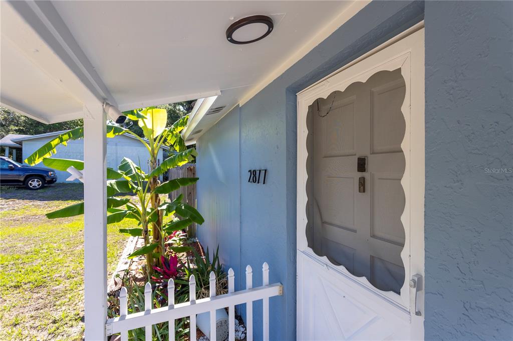A blue exterior wall features the house number 2877 next to a white screen door — 2877 NUTWOOD STREET, CLEARWATER, FL