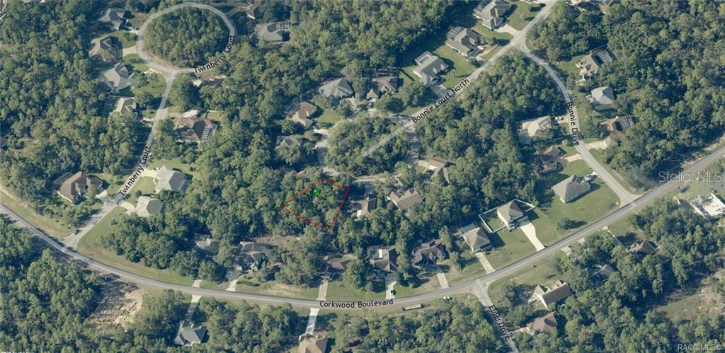 This is an aerial map showing a vacant, wooded residential lot outlined in red — 14 BONNIE COURT N, HOMOSASSA, FL