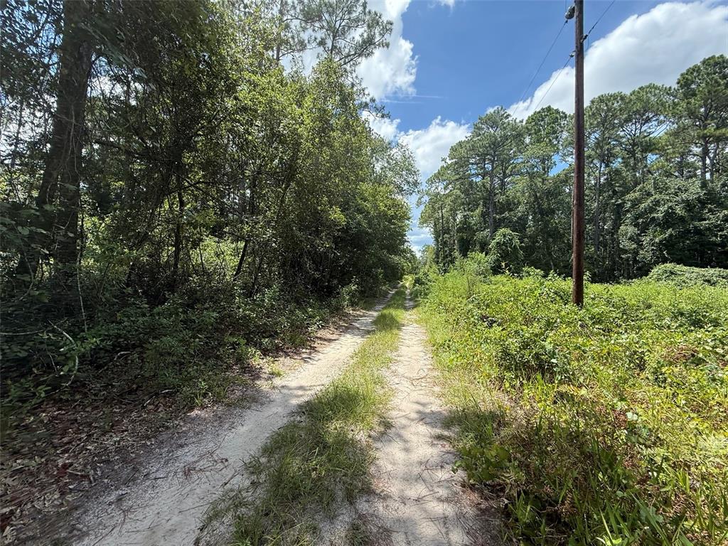 313 CALHOUN AVENUE, FLORAHOME, FL — photo 2 of 7