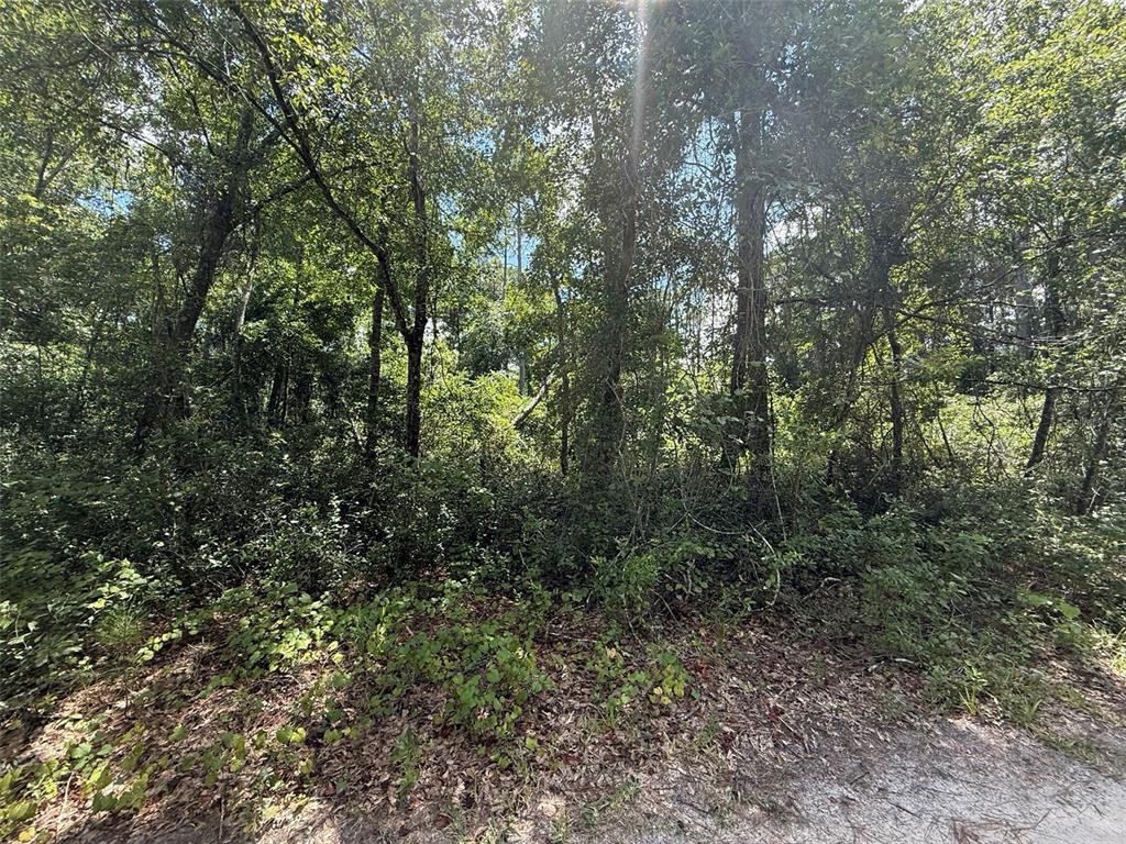 313 CALHOUN AVENUE, FLORAHOME, FL — photo 3 of 7
