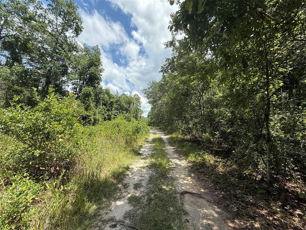 313 CALHOUN AVENUE, FLORAHOME, FL — photo 4 of 7