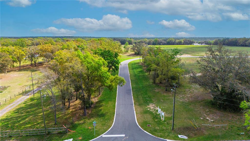 5561 PANORAMIC VIEW DRIVE, APOPKA, FL — photo 5 of 25