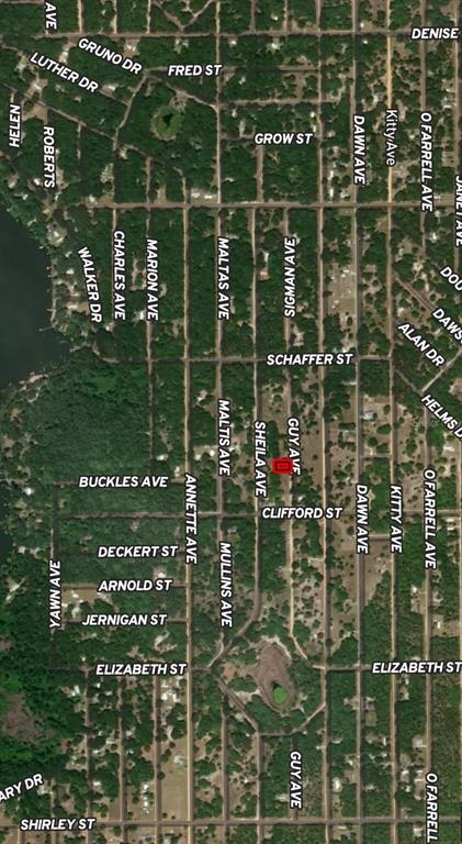 This is a map showing a red-outlined property located between Sheila Avenue and Guy Avenue — LOT 24 GUY AVENUE, INTERLACHEN, FL