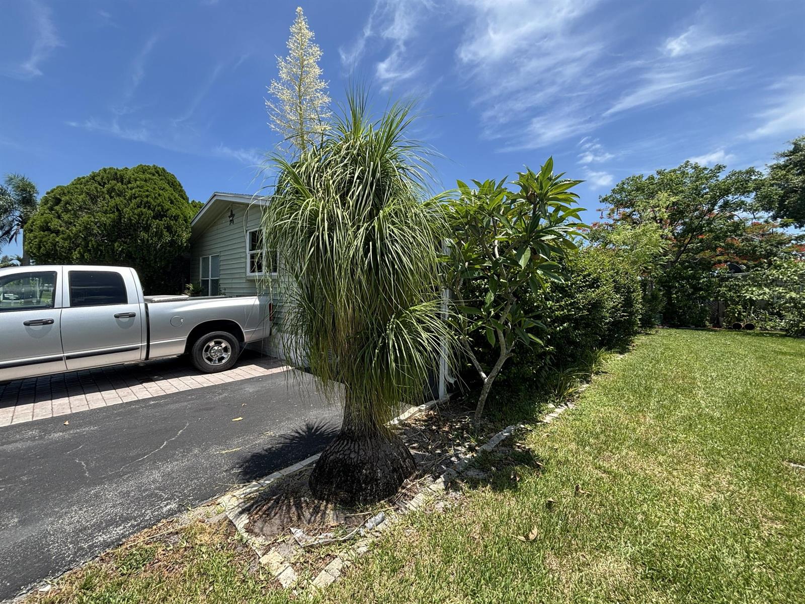 A silver pickup truck is parked next to a ponytail palm tree in a residential yard — 4520 NW 68th Place, Coconut Creek FL 33073, COCONUT CREEK, FL