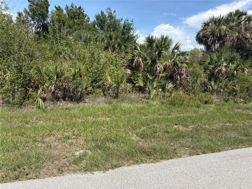 A grassy lot with dense trees and palm bushes borders a paved road — 6986 PRINCETON STREET, PORT CHARLOTTE, FL