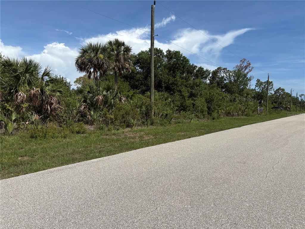 A paved road runs alongside a vacant lot with dense vegetation and palm trees — 6986 PRINCETON STREET, PORT CHARLOTTE, FL