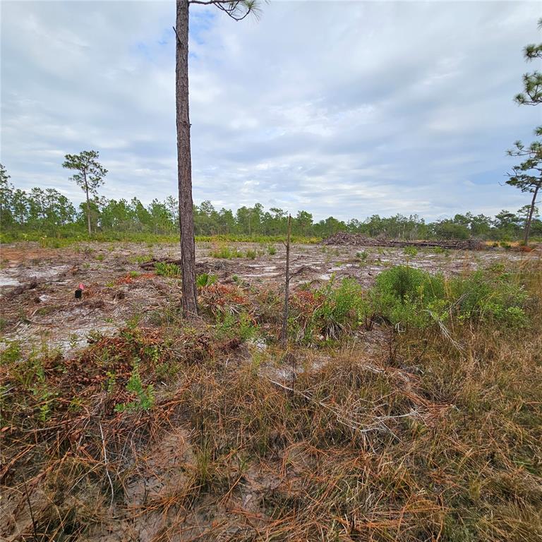 A cleared, sandy lot features scattered vegetation and a few tall pine trees — 108 EL DORADO DR, INDIAN LAKE ESTATES, FL
