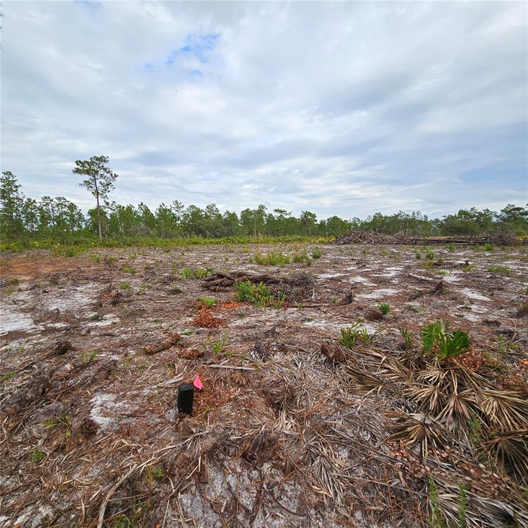 A cleared, sandy lot features a survey marker with a pink flag in the foreground — 108 EL DORADO DR, INDIAN LAKE ESTATES, FL
