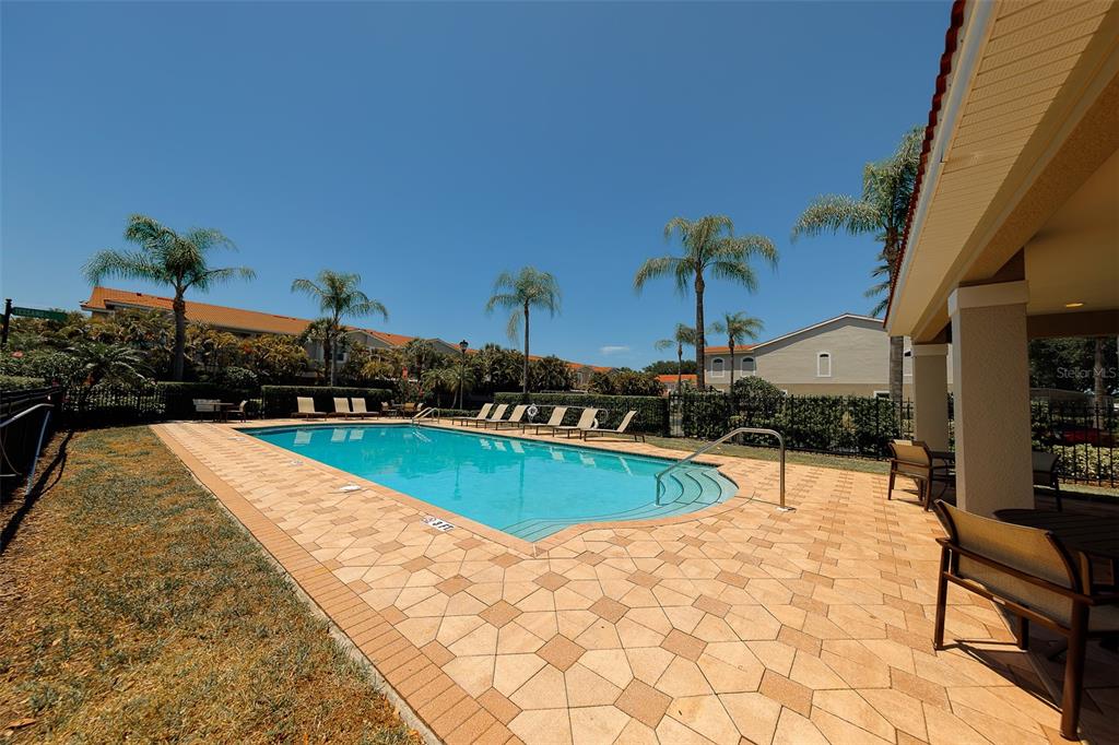 A rectangular swimming pool is surrounded by a paved deck and lounge chairs — 1415 TESSANO PLACE, PALM HARBOR, FL