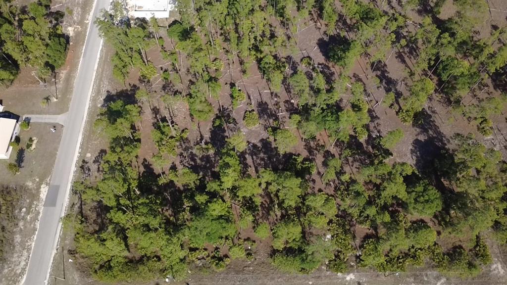 An aerial view shows a wooded, undeveloped rectangular plot of land next to a road — 920 LOUIS AVENUE, LEHIGH ACRES, FL