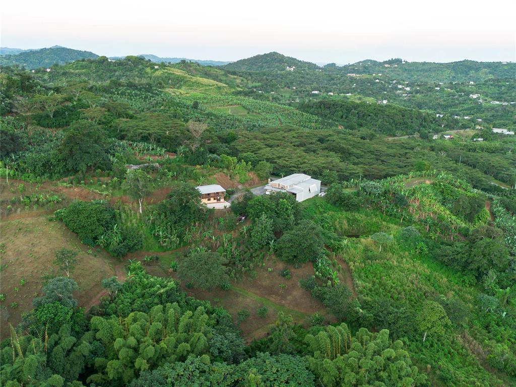 An aerial view shows two buildings nestled in a lush, hilly, tropical landscape — SR 526 BOSQUE TANAMA, ADJUNTAS, PR