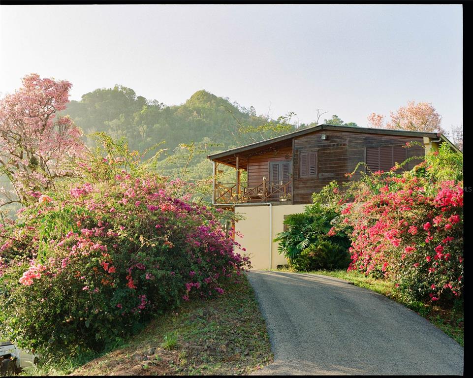 A wooden house with a balcony sits on a hill surrounded by blooming pink flowers — SR 526 BOSQUE TANAMA, ADJUNTAS, PR