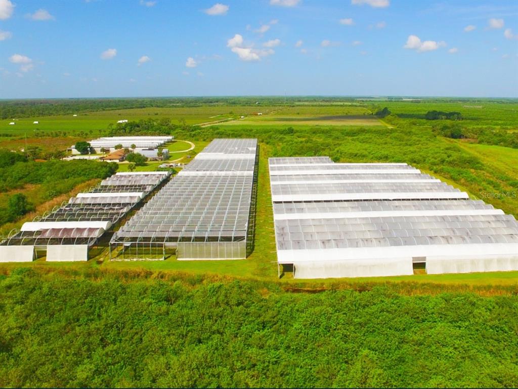 An aerial view shows multiple greenhouse structures surrounded by green fields and trees — 6150 PRINGLE LANE, IMMOKALEE, FL