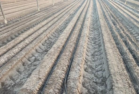 An agricultural field features rows of tilled soil with irrigation lines installed for crop planting — 6150 PRINGLE LANE, IMMOKALEE, FL
