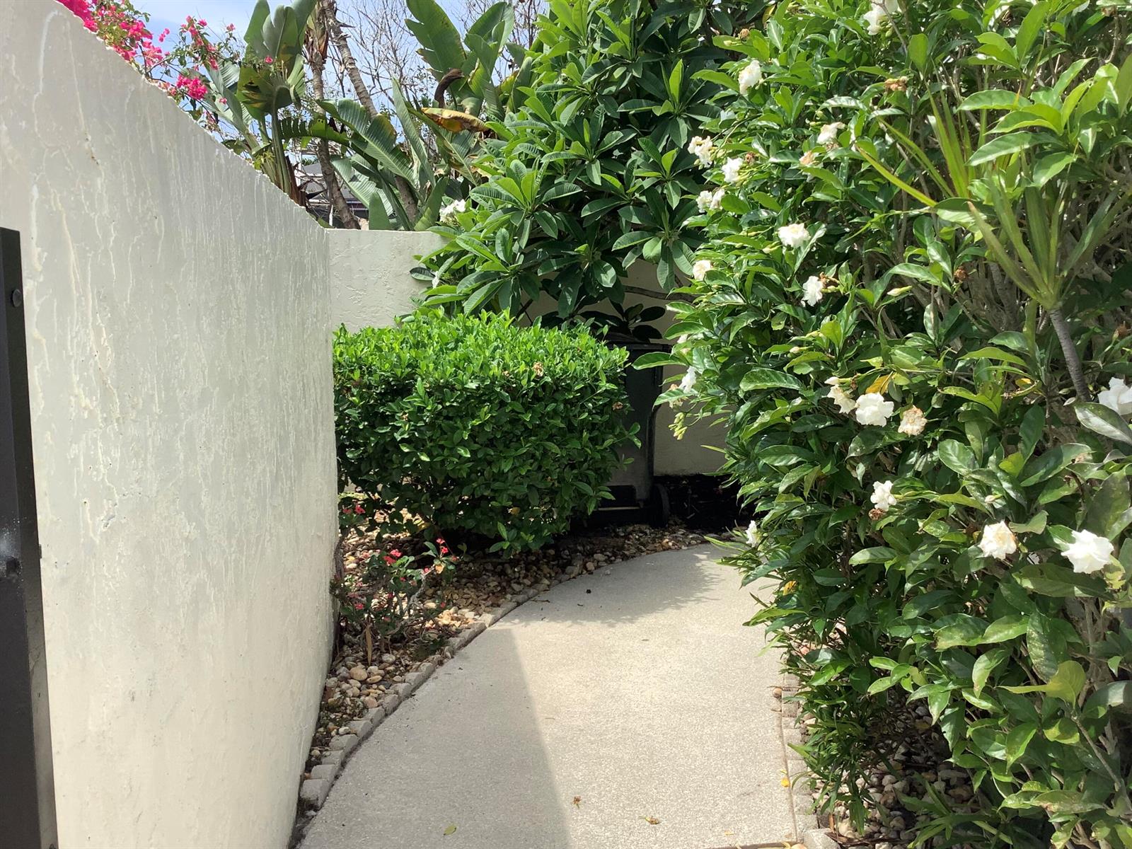 A concrete walkway leads between a white stucco wall and a flowering green hedge — 458 SW 29th Avenue, Delray Beach FL 33445, DELRAY BEACH, FL