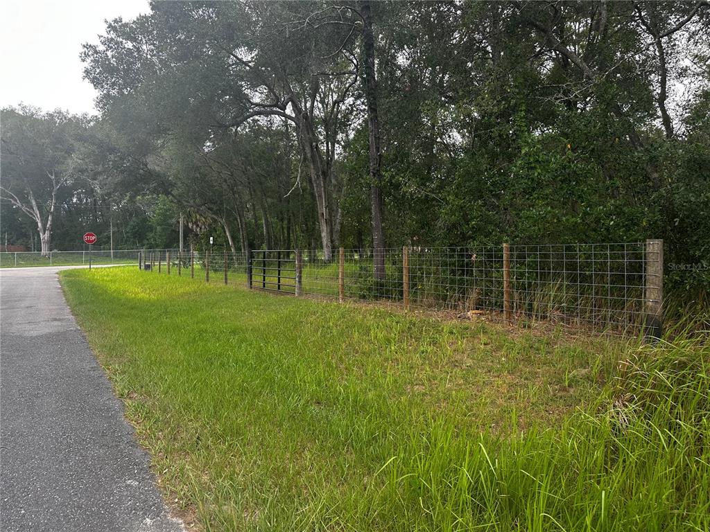 A wire fence runs along a grassy roadside next to a wooded area — 719 S ARLENE AVENUE, INVERNESS, FL