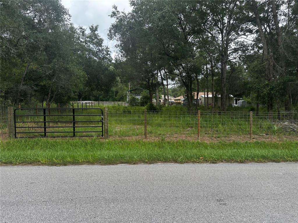 A black metal gate opens onto a fenced, grassy lot with trees in the background — 719 S ARLENE AVENUE, INVERNESS, FL