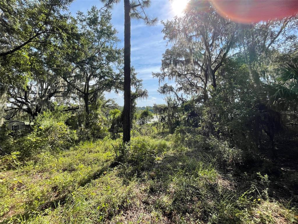 A view of a wooded lot with a glimpse of a lake in the distance — LOTS 13 & 14 SW SHOREWOOD DRIVE, DUNNELLON, FL