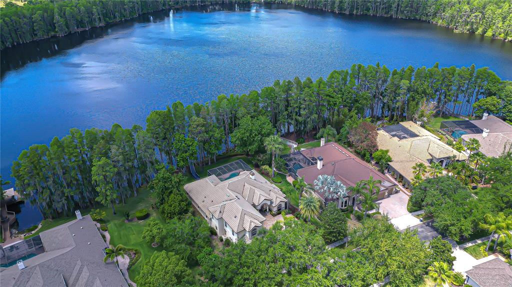 An aerial view shows several houses with pools situated along the edge of a lake — 20915 LAKE VIENNA DRIVE, LAND O LAKES, FL