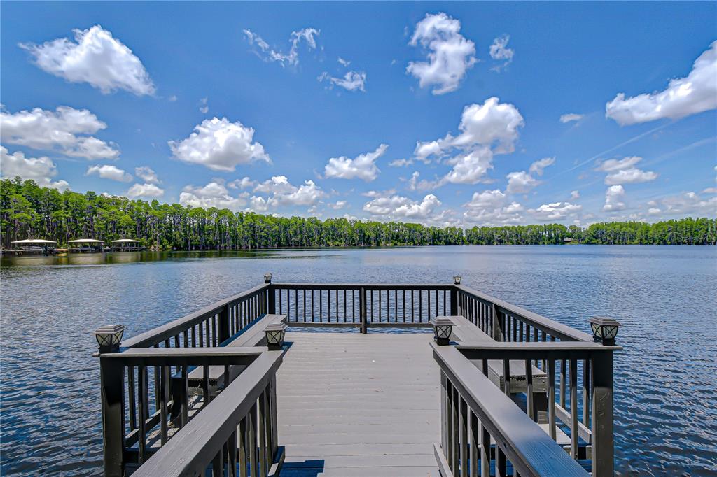 A wooden dock with railings extends into a lake surrounded by trees under a cloudy sky — 20915 LAKE VIENNA DRIVE, LAND O LAKES, FL