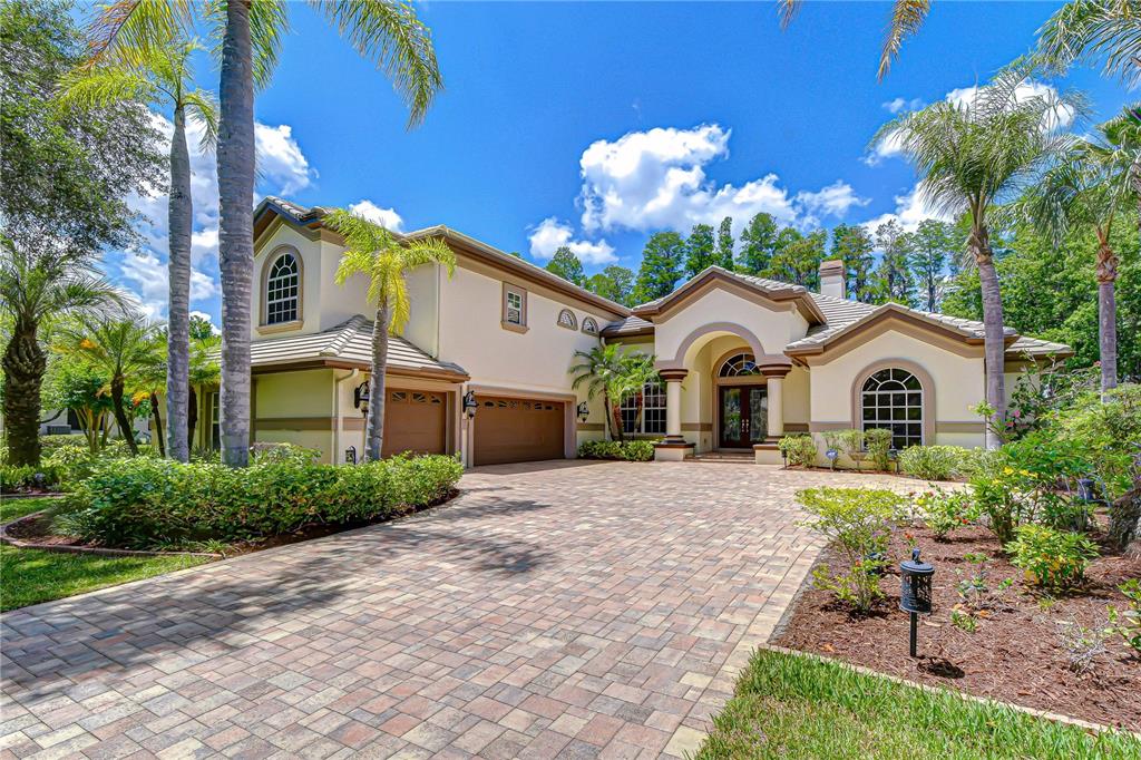 A two-story stucco house with a paver driveway, arched windows, and palm trees — 20915 LAKE VIENNA DRIVE, LAND O LAKES, FL