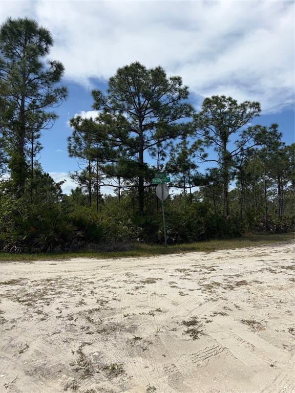 A dirt road leads to a wooded lot with a street sign at the intersection — 28131 RAMIRO DRIVE, PUNTA GORDA, FL
